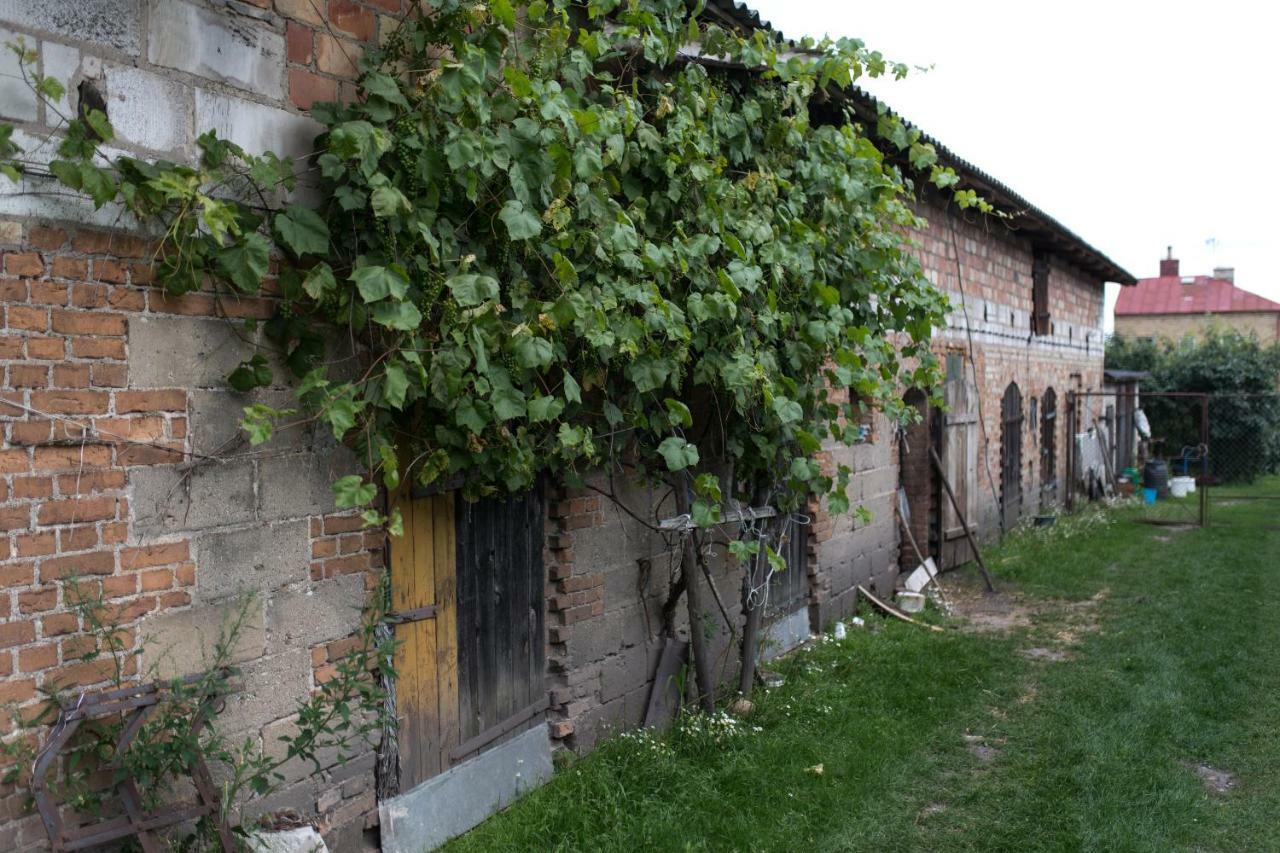 Agroturystyka Karpinscy Wizna Exterior photo